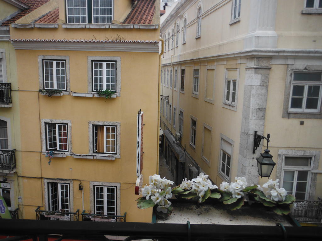 Lafonense Lisbon